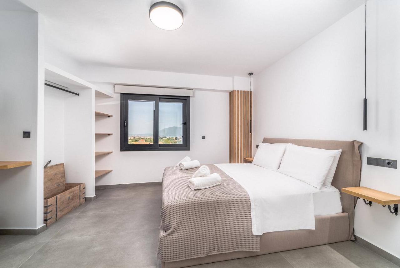 Nemesis Luxury Villas Apolpaina Екстер'єр фото