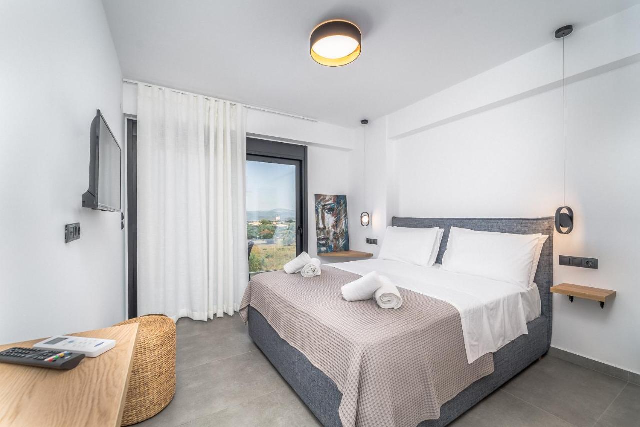 Nemesis Luxury Villas Apolpaina Екстер'єр фото