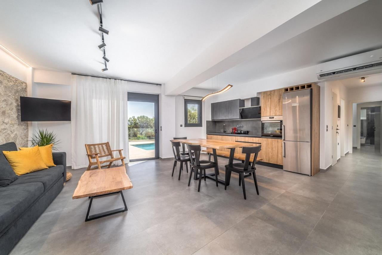 Nemesis Luxury Villas Apolpaina Екстер'єр фото